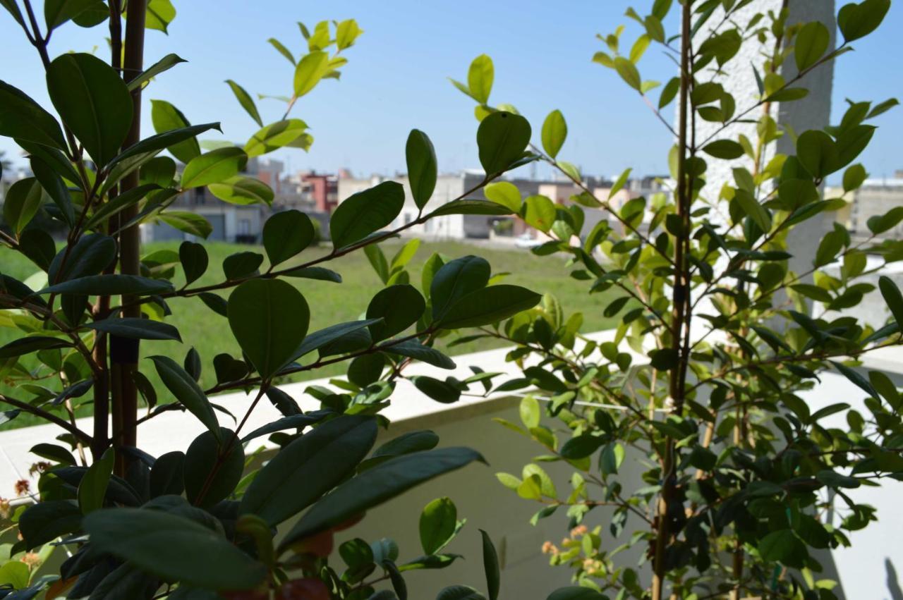 Casa Vacanze Infiore 레베라노 외부 사진