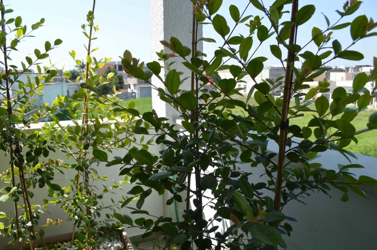 Casa Vacanze Infiore 레베라노 외부 사진